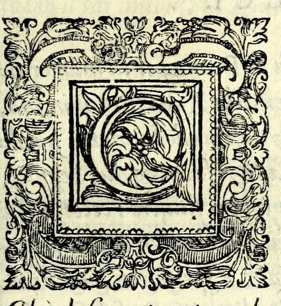 An illustration from Il ballarino, 1581, leaf 245