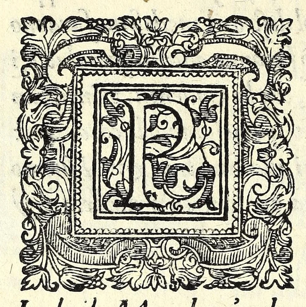 An illustration from Il ballarino, 1581, leaf 254