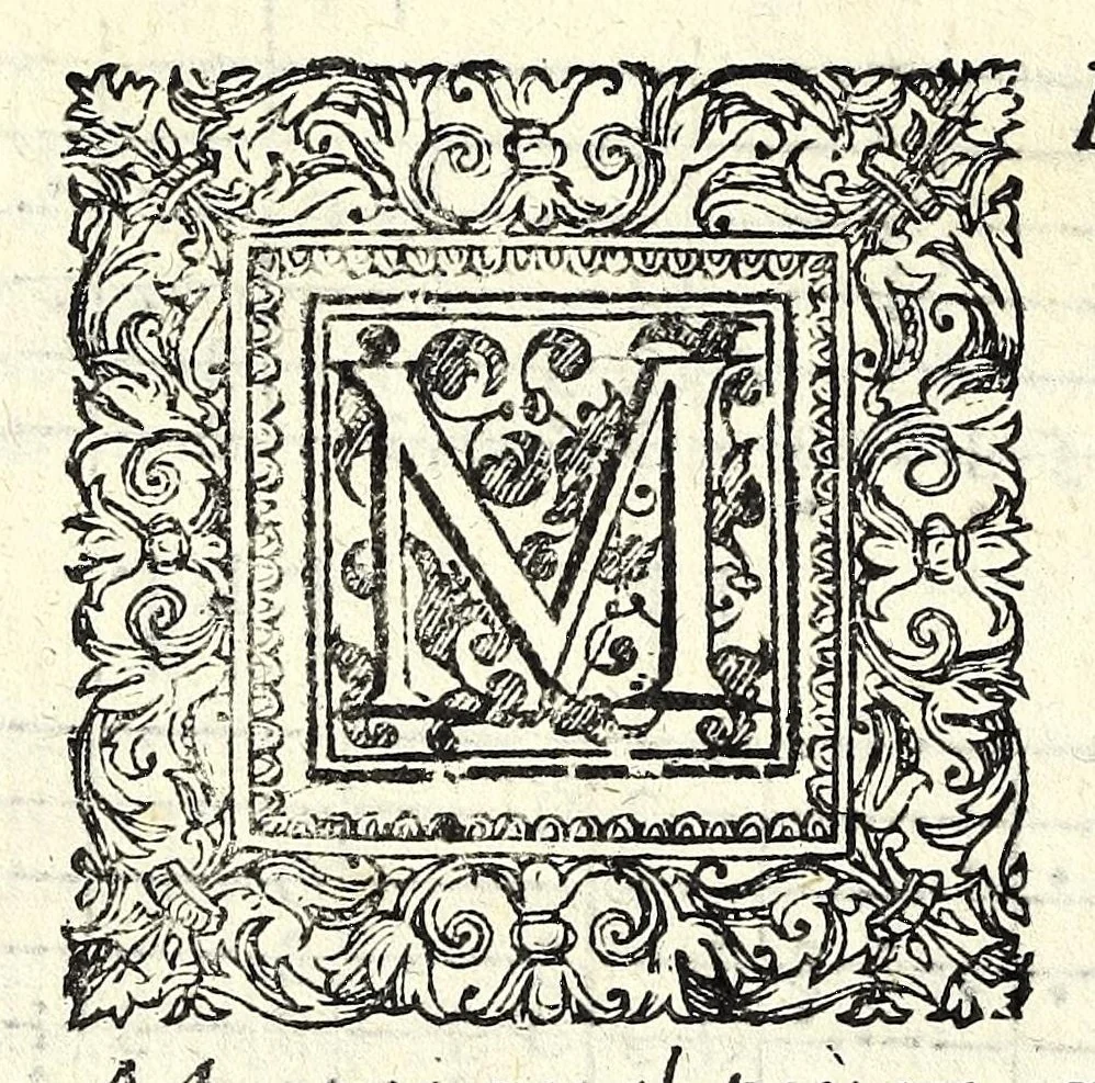 An illustration from Il ballarino, 1581, leaf 264