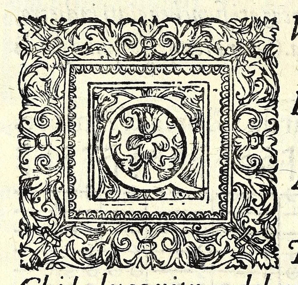 An illustration from Il ballarino, 1581, leaf 300