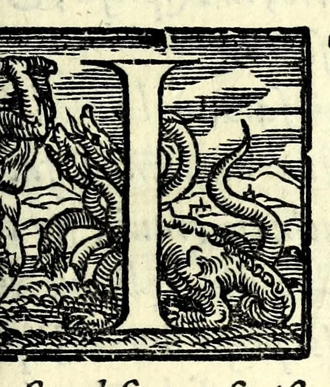 An illustration from Il ballarino, 1581, leaf 309