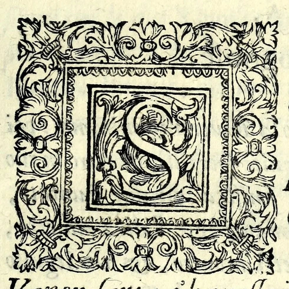 An illustration from Il ballarino, 1581, leaf 331