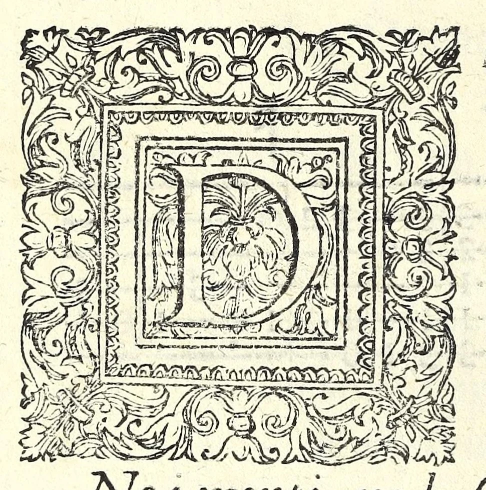 An illustration from Il ballarino, 1581, leaf 342