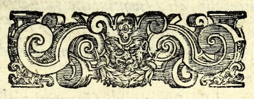 An illustration from Il ballarino, 1581, leaf 345