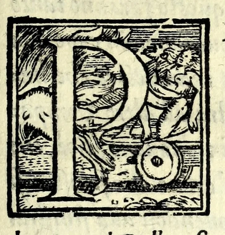 An illustration from Il ballarino, 1581, leaf 351