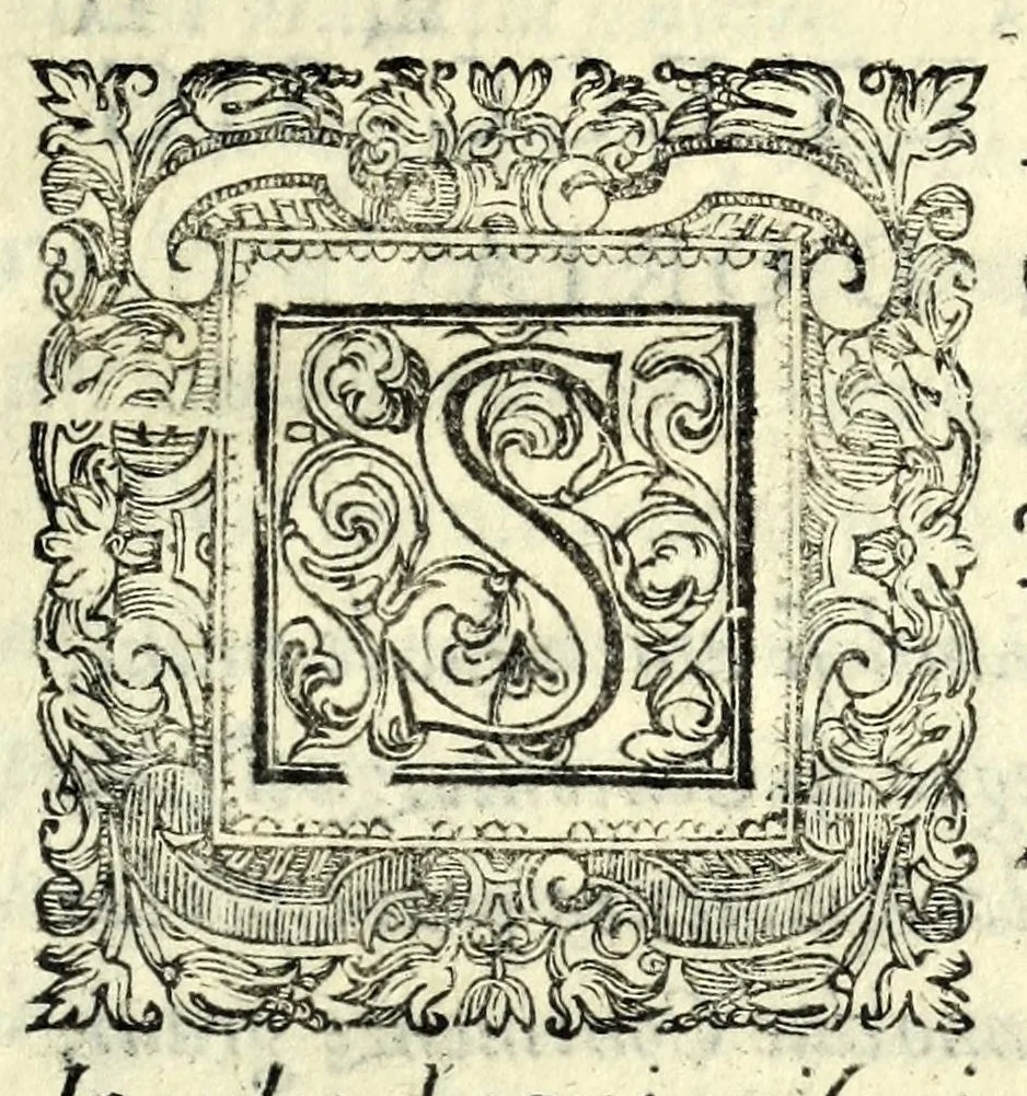 An illustration from Il ballarino, 1581, leaf 357