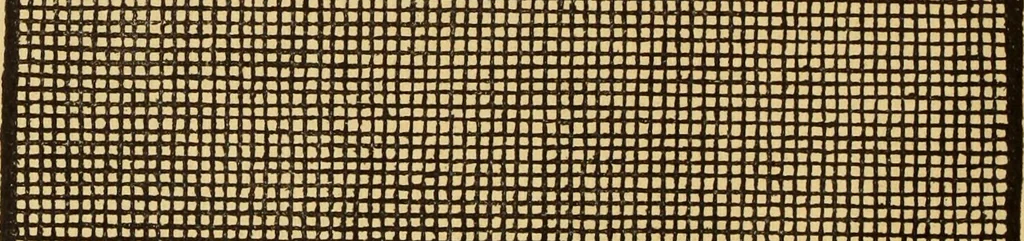 An illustration from Il Burato : libro de recami, 1909, leaf 23