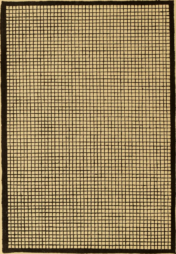 An illustration from Il Burato : libro de recami, 1909, leaf 29