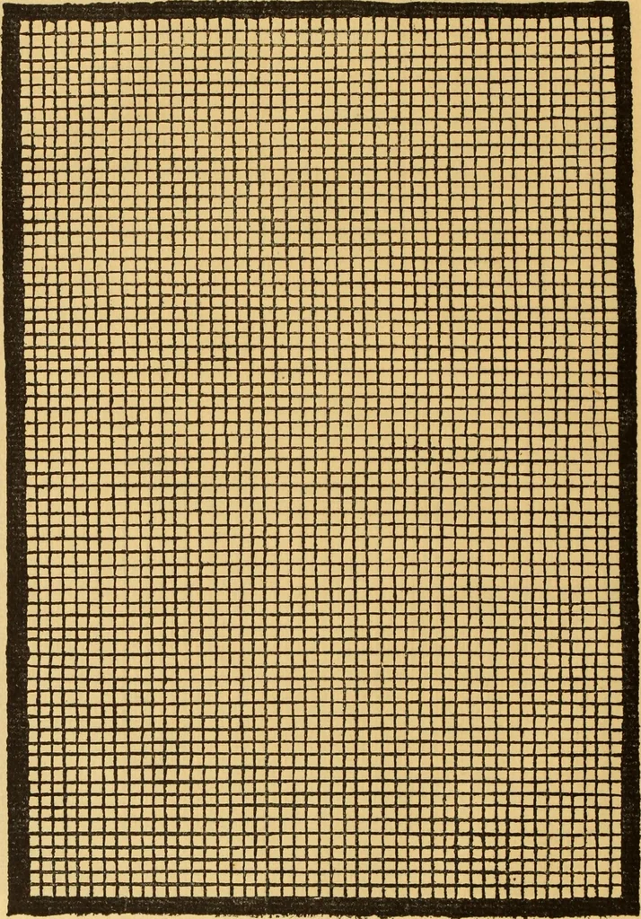 An illustration from Il Burato : libro de recami, 1909, leaf 41