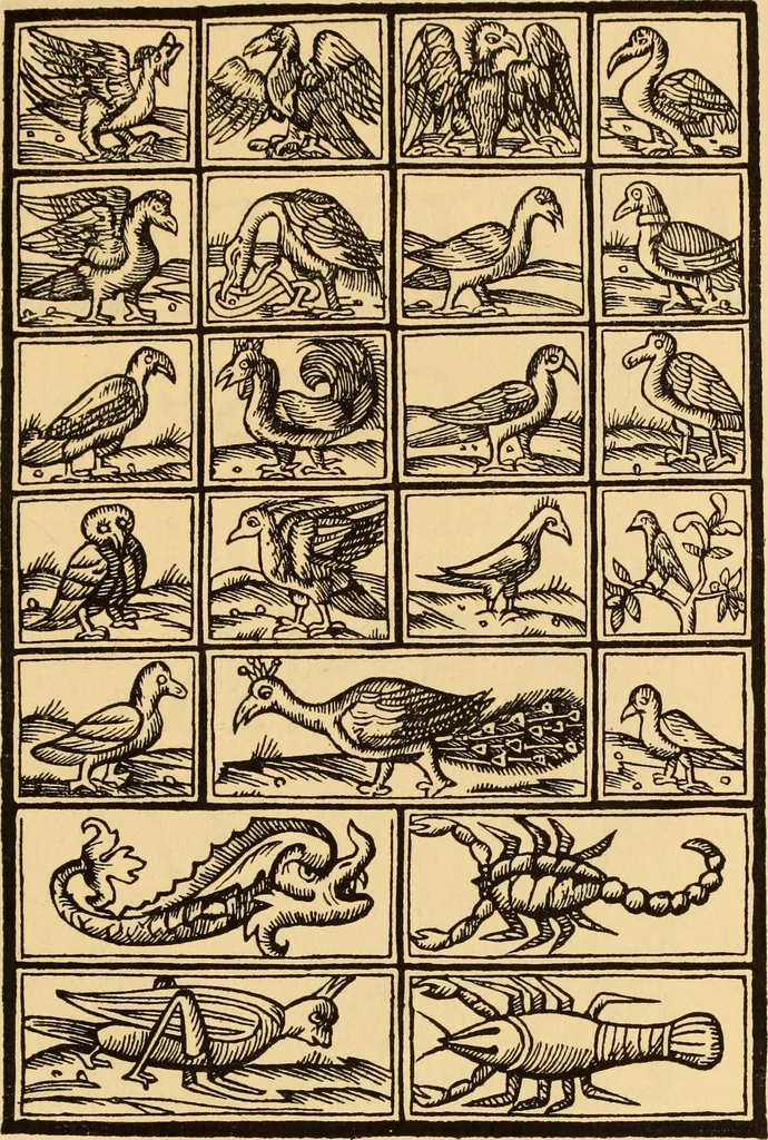 An illustration from Il Burato : libro de recami, 1909, leaf 94