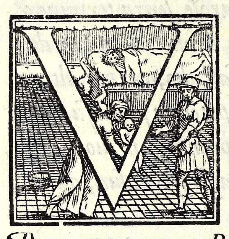 An illustration from Il cancellieri del Doni, 1562, leaf 116