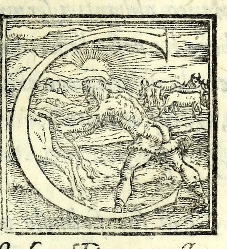 An illustration from Il cancellieri del Doni, 1562, leaf 29