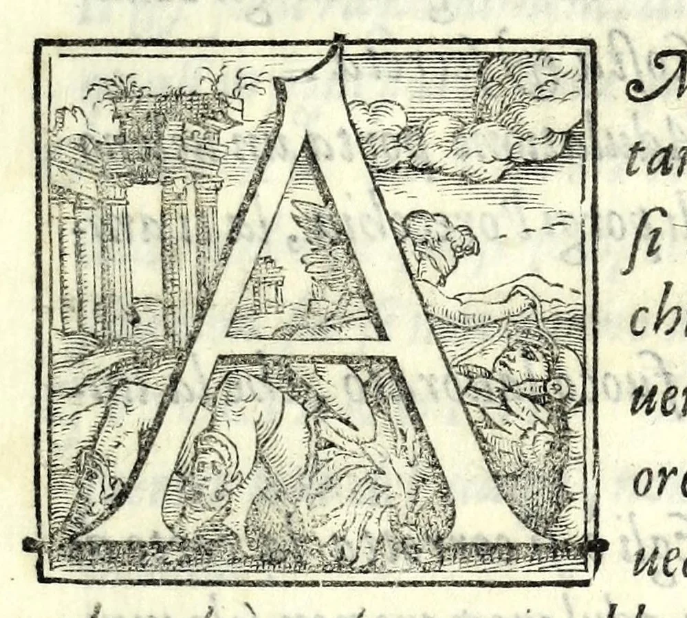 An illustration from Il cancellieri del Doni, 1562, leaf 69