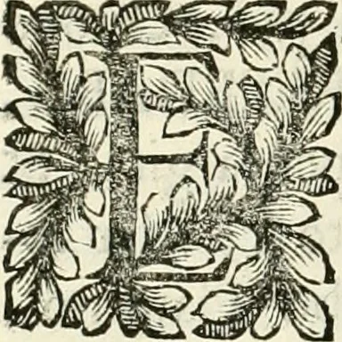 An illustration from Il cannocchiale aristotelico, o sia, Idea dell'arguta et ingeniosa elocutione : che serue à tutta l'arte oratoria, lapidaria, et simbolica, 1670, leaf 279