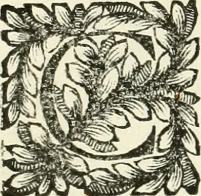 An illustration from Il cannocchiale aristotelico, o sia, Idea dell'arguta et ingeniosa elocutione : che serue à tutta l'arte oratoria, lapidaria, et simbolica, 1670, leaf 293