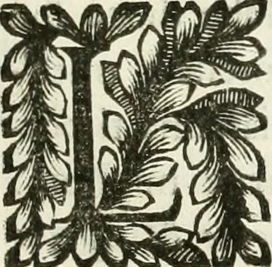 An illustration from Il cannocchiale aristotelico, o sia, Idea dell'arguta et ingeniosa elocutione : che serue à tutta l'arte oratoria, lapidaria, et simbolica, 1670, leaf 318