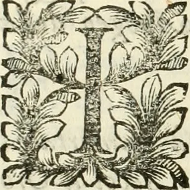 An illustration from Il cannocchiale aristotelico, o sia, Idea dell'arguta et ingeniosa elocutione : che serue à tutta l'arte oratoria, lapidaria, et simbolica, 1670, leaf 355