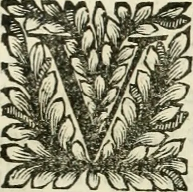 An illustration from Il cannocchiale aristotelico, o sia, Idea dell'arguta et ingeniosa elocutione : che serue à tutta l'arte oratoria, lapidaria, et simbolica, 1670, leaf 378