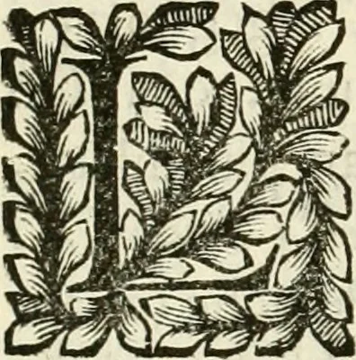 An illustration from Il cannocchiale aristotelico, o sia, Idea dell'arguta et ingeniosa elocutione : che serue à tutta l'arte oratoria, lapidaria, et simbolica, 1670, leaf 473
