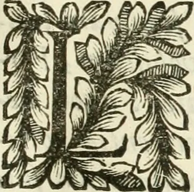 An illustration from Il cannocchiale aristotelico, o sia, Idea dell'arguta et ingeniosa elocutione : che serue à tutta l'arte oratoria, lapidaria, et simbolica, 1670, leaf 608