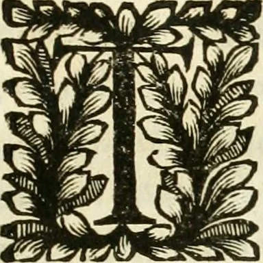 An illustration from Il cannocchiale aristotelico, o sia, Idea dell'arguta et ingeniosa elocutione : che serue à tutta l'arte oratoria, lapidaria, et simbolica, 1670, leaf 748