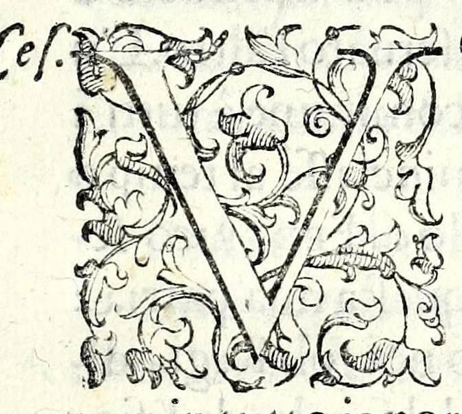 An illustration from Il castiglione, overo, Dell' arme di nobiltà : dialogo, 1587, leaf 33