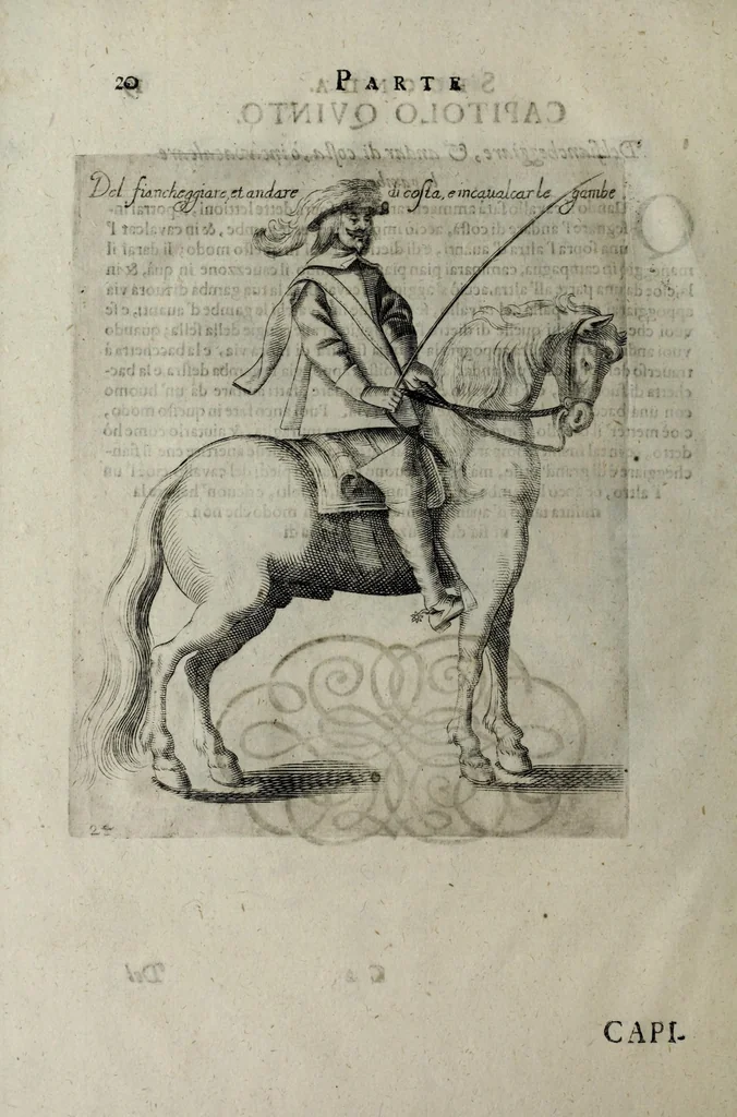 An illustration from Il cauallo da maneggio. Libro. Dove si tratta della nobilissima virtu del caualcare, come il cauagliere deue star' à cauallo, acciò sia chiamato perfetto cauagliere, amato e stimato da tutti; come si deue domar' il cauallo, gouernare, inferrare, imbrigliare, am̃aestrare; in che tempo si deuono pigliar li poledri per ammaestrarli di tempo in tempo, e di scola in scola. Della razza dei stalloni, de pelami; de segni buoni, et cattiui; & in fine dei remedij ad' ogni sorte d'infirmità che puol accader' al cauallo. Diviso in tre parti, nella prima si tratta del conoscer li caualli; nella seconda il modo di caualcare; nella terza il modo di medicar' ogni sorte d'infirmità; con tre tauole .., 1650, leaf 38