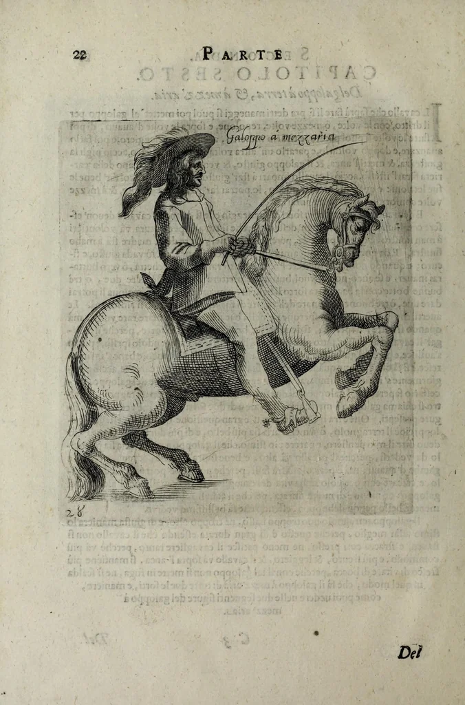 An illustration from Il cauallo da maneggio. Libro. Dove si tratta della nobilissima virtu del caualcare, come il cauagliere deue star' à cauallo, acciò sia chiamato perfetto cauagliere, amato e stimato da tutti; come si deue domar' il cauallo, gouernare, inferrare, imbrigliare, am̃aestrare; in che tempo si deuono pigliar li poledri per ammaestrarli di tempo in tempo, e di scola in scola. Della razza dei stalloni, de pelami; de segni buoni, et cattiui; & in fine dei remedij ad' ogni sorte d'infirmità che puol accader' al cauallo. Diviso in tre parti, nella prima si tratta del conoscer li caualli; nella seconda il modo di caualcare; nella terza il modo di medicar' ogni sorte d'infirmità; con tre tauole .., 1650, leaf 40