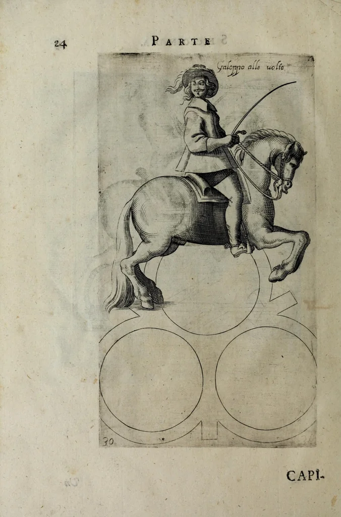 An illustration from Il cauallo da maneggio. Libro. Dove si tratta della nobilissima virtu del caualcare, come il cauagliere deue star' à cauallo, acciò sia chiamato perfetto cauagliere, amato e stimato da tutti; come si deue domar' il cauallo, gouernare, inferrare, imbrigliare, am̃aestrare; in che tempo si deuono pigliar li poledri per ammaestrarli di tempo in tempo, e di scola in scola. Della razza dei stalloni, de pelami; de segni buoni, et cattiui; & in fine dei remedij ad' ogni sorte d'infirmità che puol accader' al cauallo. Diviso in tre parti, nella prima si tratta del conoscer li caualli; nella seconda il modo di caualcare; nella terza il modo di medicar' ogni sorte d'infirmità; con tre tauole .., 1650, leaf 42
