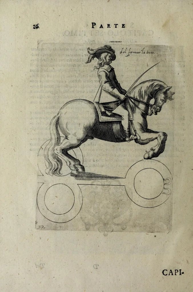 An illustration from Il cauallo da maneggio. Libro. Dove si tratta della nobilissima virtu del caualcare, come il cauagliere deue star' à cauallo, acciò sia chiamato perfetto cauagliere, amato e stimato da tutti; come si deue domar' il cauallo, gouernare, inferrare, imbrigliare, am̃aestrare; in che tempo si deuono pigliar li poledri per ammaestrarli di tempo in tempo, e di scola in scola. Della razza dei stalloni, de pelami; de segni buoni, et cattiui; & in fine dei remedij ad' ogni sorte d'infirmità che puol accader' al cauallo. Diviso in tre parti, nella prima si tratta del conoscer li caualli; nella seconda il modo di caualcare; nella terza il modo di medicar' ogni sorte d'infirmità; con tre tauole .., 1650, leaf 44