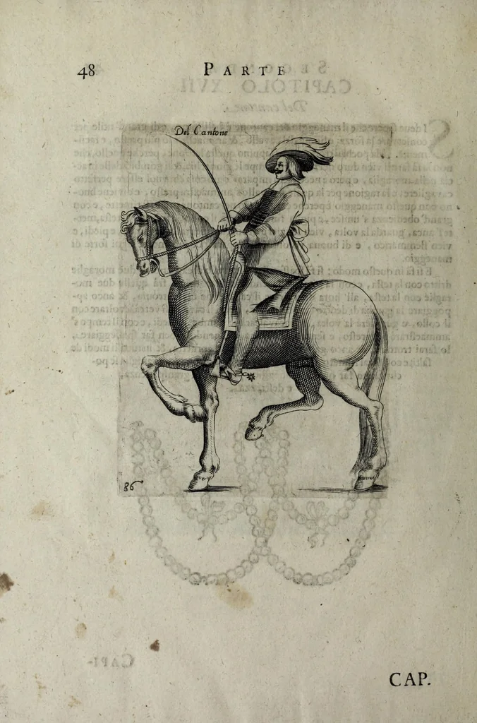 An illustration from Il cauallo da maneggio. Libro. Dove si tratta della nobilissima virtu del caualcare, come il cauagliere deue star' à cauallo, acciò sia chiamato perfetto cauagliere, amato e stimato da tutti; come si deue domar' il cauallo, gouernare, inferrare, imbrigliare, am̃aestrare; in che tempo si deuono pigliar li poledri per ammaestrarli di tempo in tempo, e di scola in scola. Della razza dei stalloni, de pelami; de segni buoni, et cattiui; & in fine dei remedij ad' ogni sorte d'infirmità che puol accader' al cauallo. Diviso in tre parti, nella prima si tratta del conoscer li caualli; nella seconda il modo di caualcare; nella terza il modo di medicar' ogni sorte d'infirmità; con tre tauole .., 1650, leaf 66