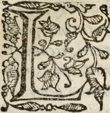 An illustration from Il Cavalcanti; overo, La difesa dell'Anticrvsca, 1614, leaf 212