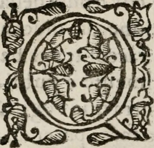 An illustration from Il Cavalcanti; overo, La difesa dell'Anticrvsca, 1614, leaf 213