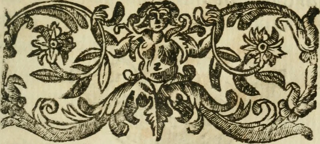 An illustration from Il cavaliere e la dama; overo, Discorsi familiari nell'ozio tusculano autunnale dell'anno 1674, sopra alcune cose appartenenti à caualieri & alle dame, cosi nelle legge scritta come in quella della conuenienza, contenute negli argomenti registrati nell'annesso indice, 1675, leaf 118