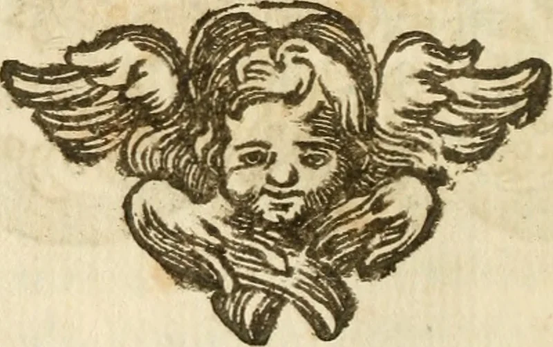 An illustration from Il cavaliere e la dama; overo, Discorsi familiari nell'ozio tusculano autunnale dell'anno 1674, sopra alcune cose appartenenti à caualieri & alle dame, cosi nelle legge scritta come in quella della conuenienza, contenute negli argomenti registrati nell'annesso indice, 1675, leaf 119