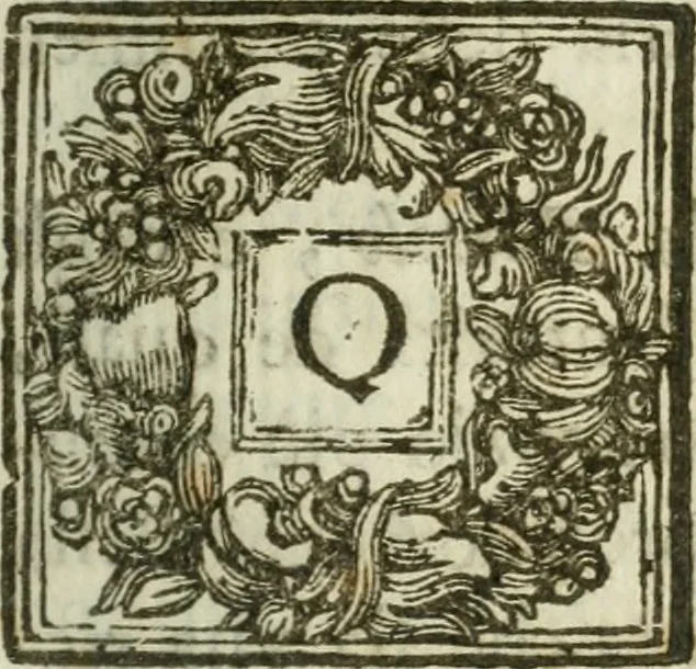 An illustration from Il cavaliere e la dama; overo, Discorsi familiari nell'ozio tusculano autunnale dell'anno 1674, sopra alcune cose appartenenti à caualieri & alle dame, cosi nelle legge scritta come in quella della conuenienza, contenute negli argomenti registrati nell'annesso indice, 1675, leaf 164
