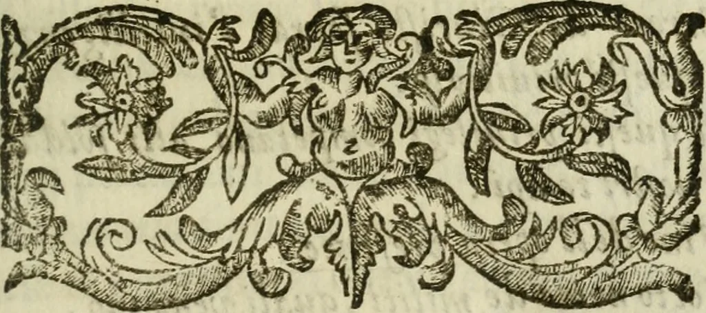 An illustration from Il cavaliere e la dama; overo, Discorsi familiari nell'ozio tusculano autunnale dell'anno 1674, sopra alcune cose appartenenti à caualieri & alle dame, cosi nelle legge scritta come in quella della conuenienza, contenute negli argomenti registrati nell'annesso indice, 1675, leaf 222