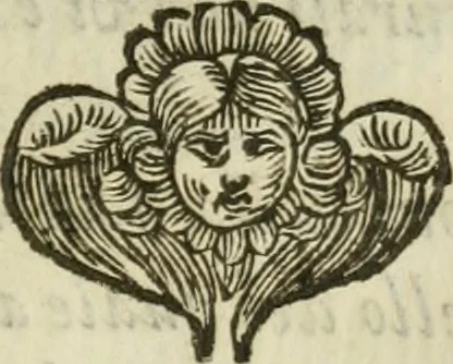 An illustration from Il cavaliere e la dama; overo, Discorsi familiari nell'ozio tusculano autunnale dell'anno 1674, sopra alcune cose appartenenti à caualieri & alle dame, cosi nelle legge scritta come in quella della conuenienza, contenute negli argomenti registrati nell'annesso indice, 1675, leaf 238