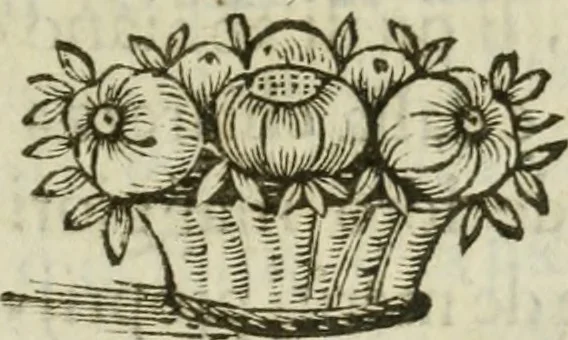 An illustration from Il cavaliere e la dama; overo, Discorsi familiari nell'ozio tusculano autunnale dell'anno 1674, sopra alcune cose appartenenti à caualieri & alle dame, cosi nelle legge scritta come in quella della conuenienza, contenute negli argomenti registrati nell'annesso indice, 1675, leaf 240