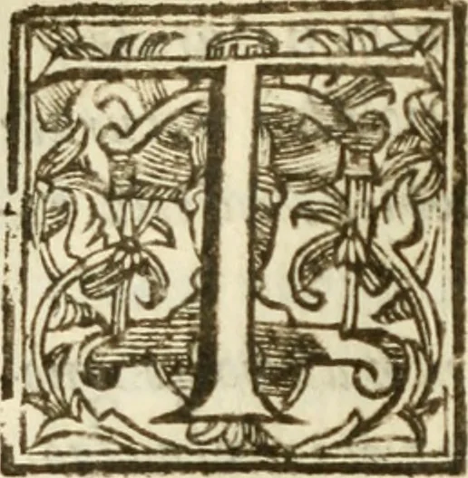 An illustration from Il cavaliere e la dama; overo, Discorsi familiari nell'ozio tusculano autunnale dell'anno 1674, sopra alcune cose appartenenti à caualieri & alle dame, cosi nelle legge scritta come in quella della conuenienza, contenute negli argomenti registrati nell'annesso indice, 1675, leaf 241