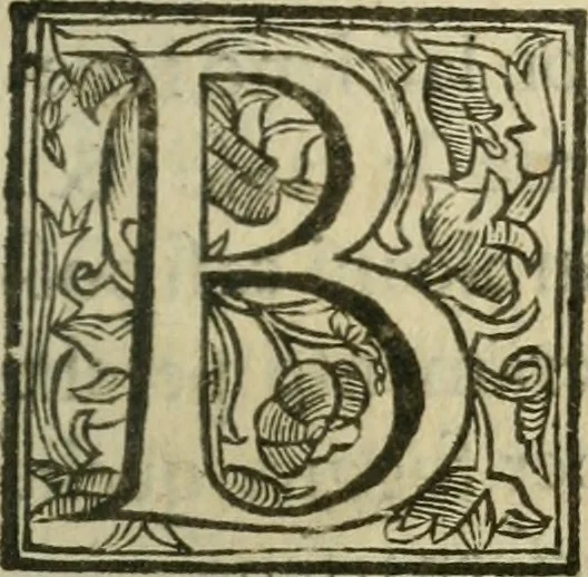 An illustration from Il cavaliere e la dama; overo, Discorsi familiari nell'ozio tusculano autunnale dell'anno 1674, sopra alcune cose appartenenti à caualieri & alle dame, cosi nelle legge scritta come in quella della conuenienza, contenute negli argomenti registrati nell'annesso indice, 1675, leaf 256