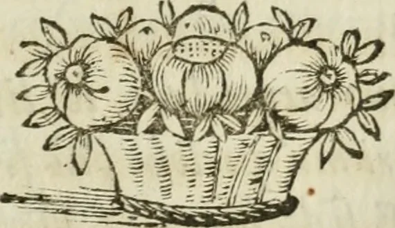 An illustration from Il cavaliere e la dama; overo, Discorsi familiari nell'ozio tusculano autunnale dell'anno 1674, sopra alcune cose appartenenti à caualieri & alle dame, cosi nelle legge scritta come in quella della conuenienza, contenute negli argomenti registrati nell'annesso indice, 1675, leaf 304