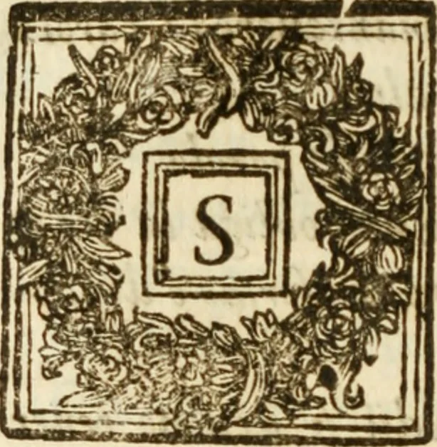 An illustration from Il cavaliere e la dama; overo, Discorsi familiari nell'ozio tusculano autunnale dell'anno 1674, sopra alcune cose appartenenti à caualieri & alle dame, cosi nelle legge scritta come in quella della conuenienza, contenute negli argomenti registrati nell'annesso indice, 1675, leaf 357