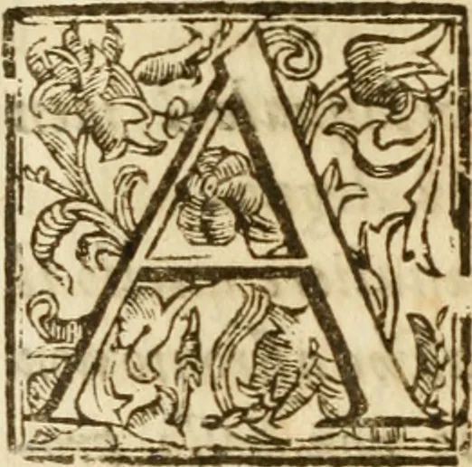 An illustration from Il cavaliere e la dama; overo, Discorsi familiari nell'ozio tusculano autunnale dell'anno 1674, sopra alcune cose appartenenti à caualieri & alle dame, cosi nelle legge scritta come in quella della conuenienza, contenute negli argomenti registrati nell'annesso indice, 1675, leaf 467