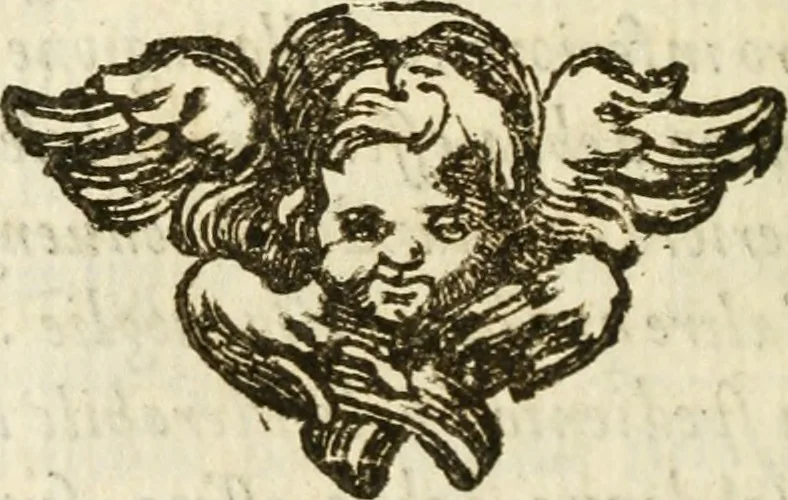 An illustration from Il cavaliere e la dama; overo, Discorsi familiari nell'ozio tusculano autunnale dell'anno 1674, sopra alcune cose appartenenti à caualieri & alle dame, cosi nelle legge scritta come in quella della conuenienza, contenute negli argomenti registrati nell'annesso indice, 1675, leaf 513
