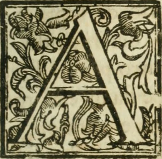 An illustration from Il cavaliere e la dama; overo, Discorsi familiari nell'ozio tusculano autunnale dell'anno 1674, sopra alcune cose appartenenti à caualieri & alle dame, cosi nelle legge scritta come in quella della conuenienza, contenute negli argomenti registrati nell'annesso indice, 1675, leaf 544