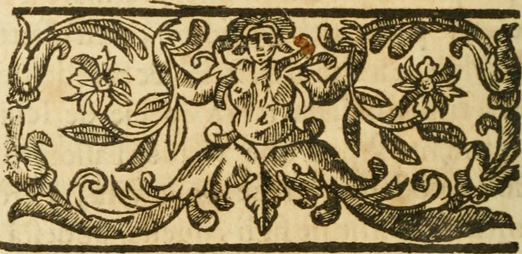 An illustration from Il cavaliere e la dama; overo, Discorsi familiari nell'ozio tusculano autunnale dell'anno 1674, sopra alcune cose appartenenti à caualieri & alle dame, cosi nelle legge scritta come in quella della conuenienza, contenute negli argomenti registrati nell'annesso indice, 1675, leaf 557