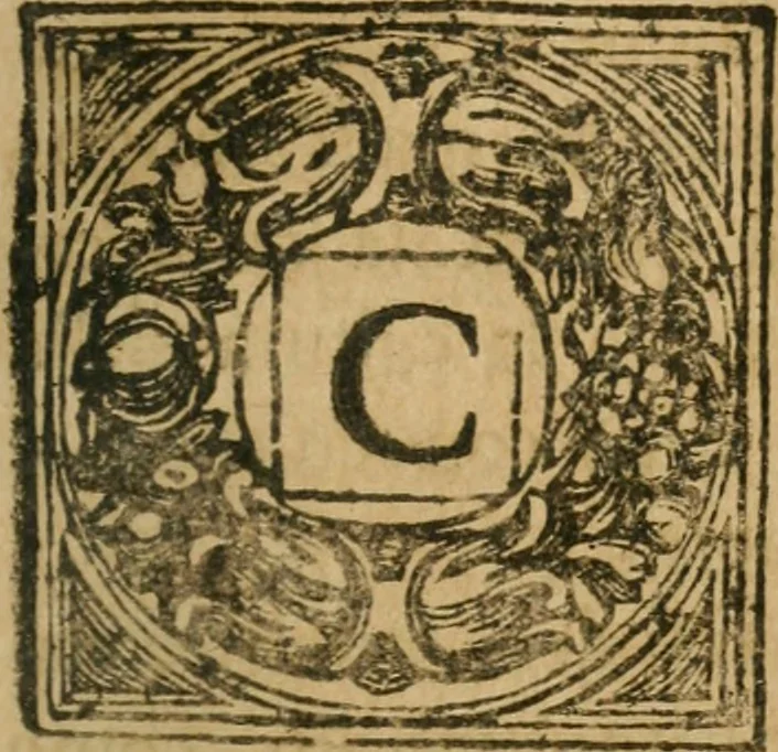 An illustration from Il cavaliere e la dama; overo, Discorsi familiari nell'ozio tusculano autunnale dell'anno 1674, sopra alcune cose appartenenti à caualieri & alle dame, cosi nelle legge scritta come in quella della conuenienza, contenute negli argomenti registrati nell'annesso indice, 1675, leaf 560