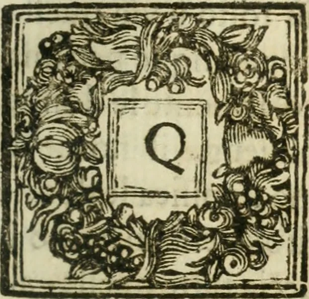 An illustration from Il cavaliere e la dama; overo, Discorsi familiari nell'ozio tusculano autunnale dell'anno 1674, sopra alcune cose appartenenti à caualieri & alle dame, cosi nelle legge scritta come in quella della conuenienza, contenute negli argomenti registrati nell'annesso indice, 1675, leaf 576