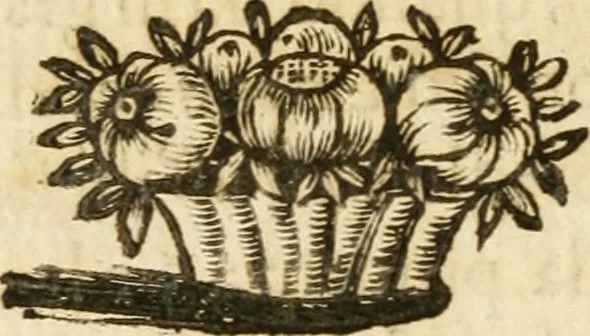 An illustration from Il cavaliere e la dama; overo, Discorsi familiari nell'ozio tusculano autunnale dell'anno 1674, sopra alcune cose appartenenti à caualieri & alle dame, cosi nelle legge scritta come in quella della conuenienza, contenute negli argomenti registrati nell'annesso indice, 1675, leaf 623